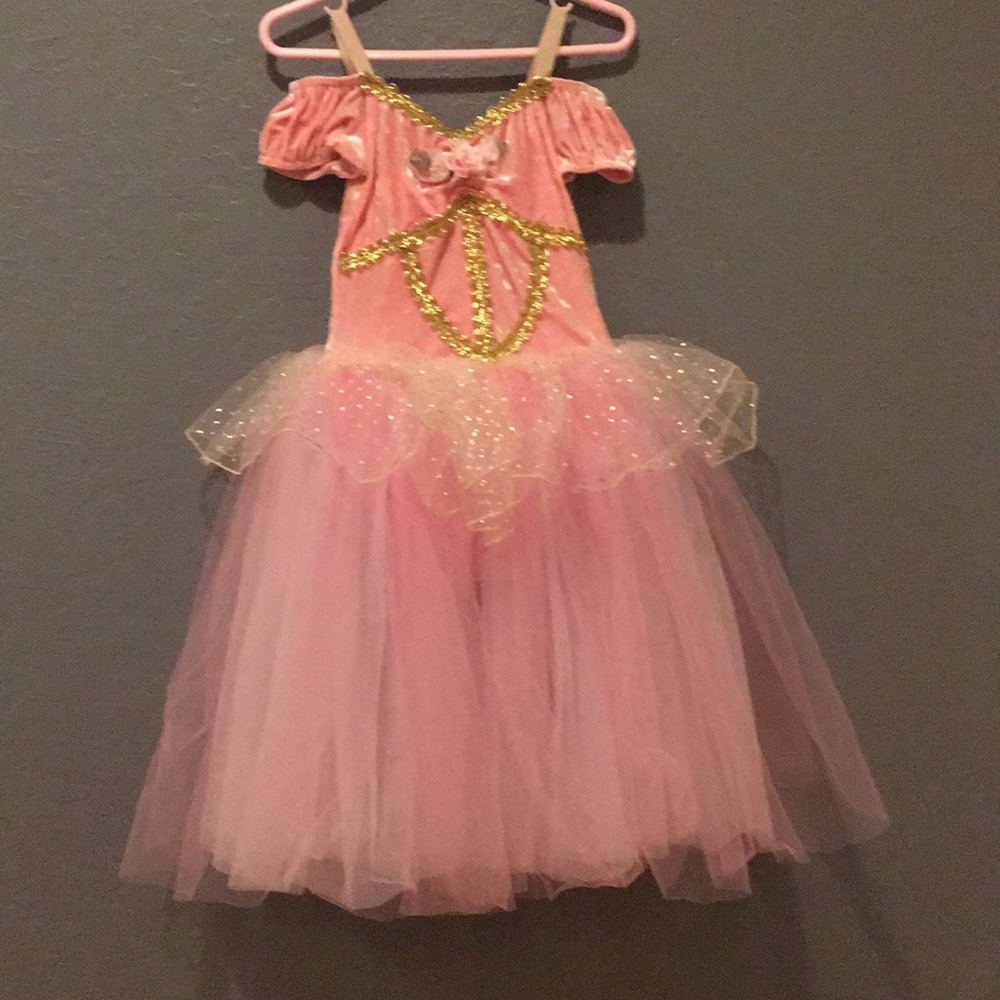 Princess Costume.